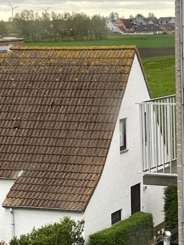The Pipers Bed & Breakfast Middelkerke Eksteriør bilde